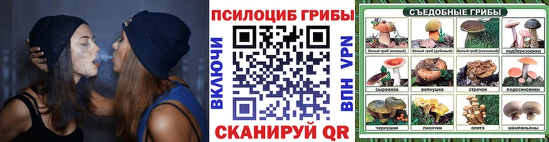 Псилоцибиновые грибы мухоморы  мориарти какой сайт  Снежинск 